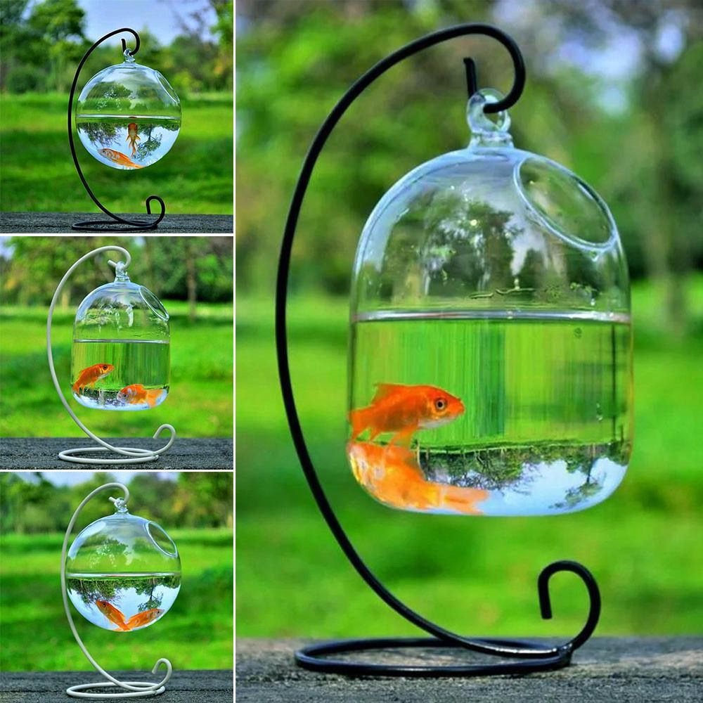 Aquarium Fish Names - Akvaryum Dekorasyonu Duvara Asılan Raflı Askı