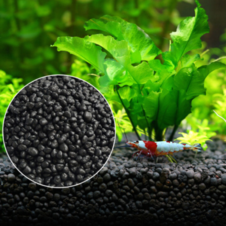 Aquarium Fish Care - Akvaryum bitki tohumları toprak balık tankı