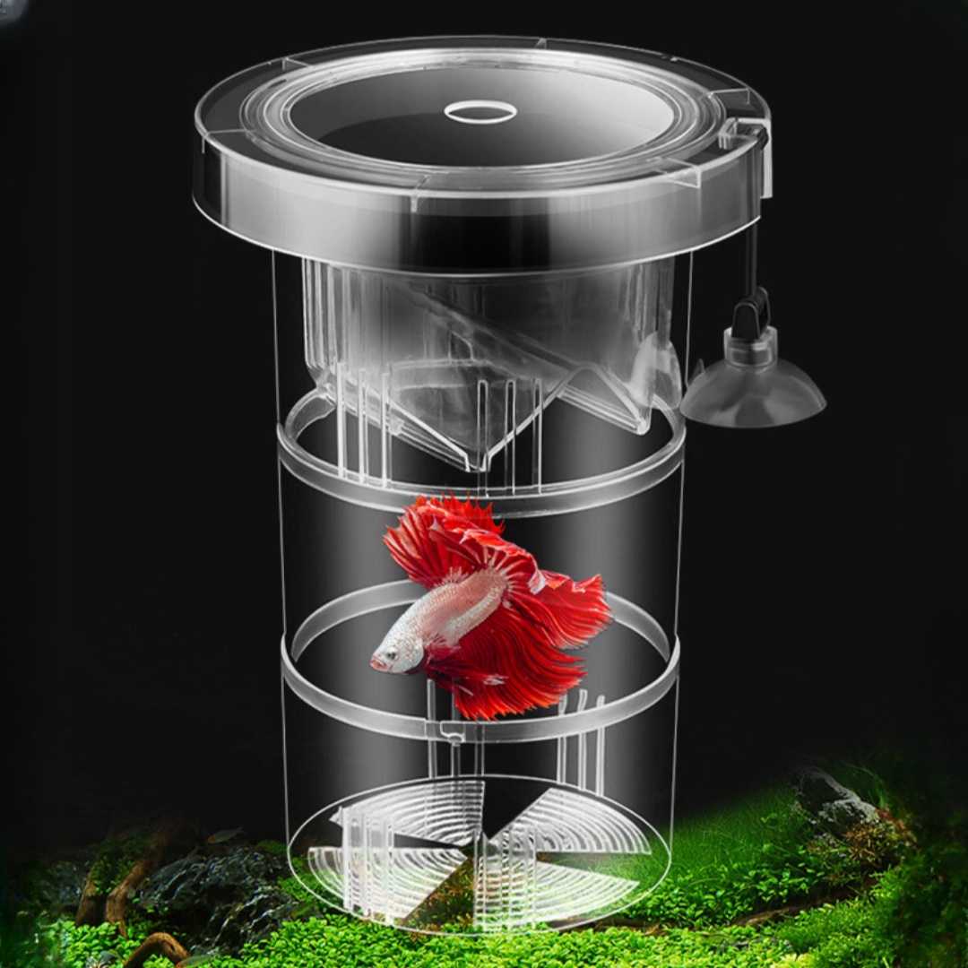 Aquarium Fish Auto Feeder - Akrilik Yüzen Balık Yetiştirme İzolasyon Kutusu