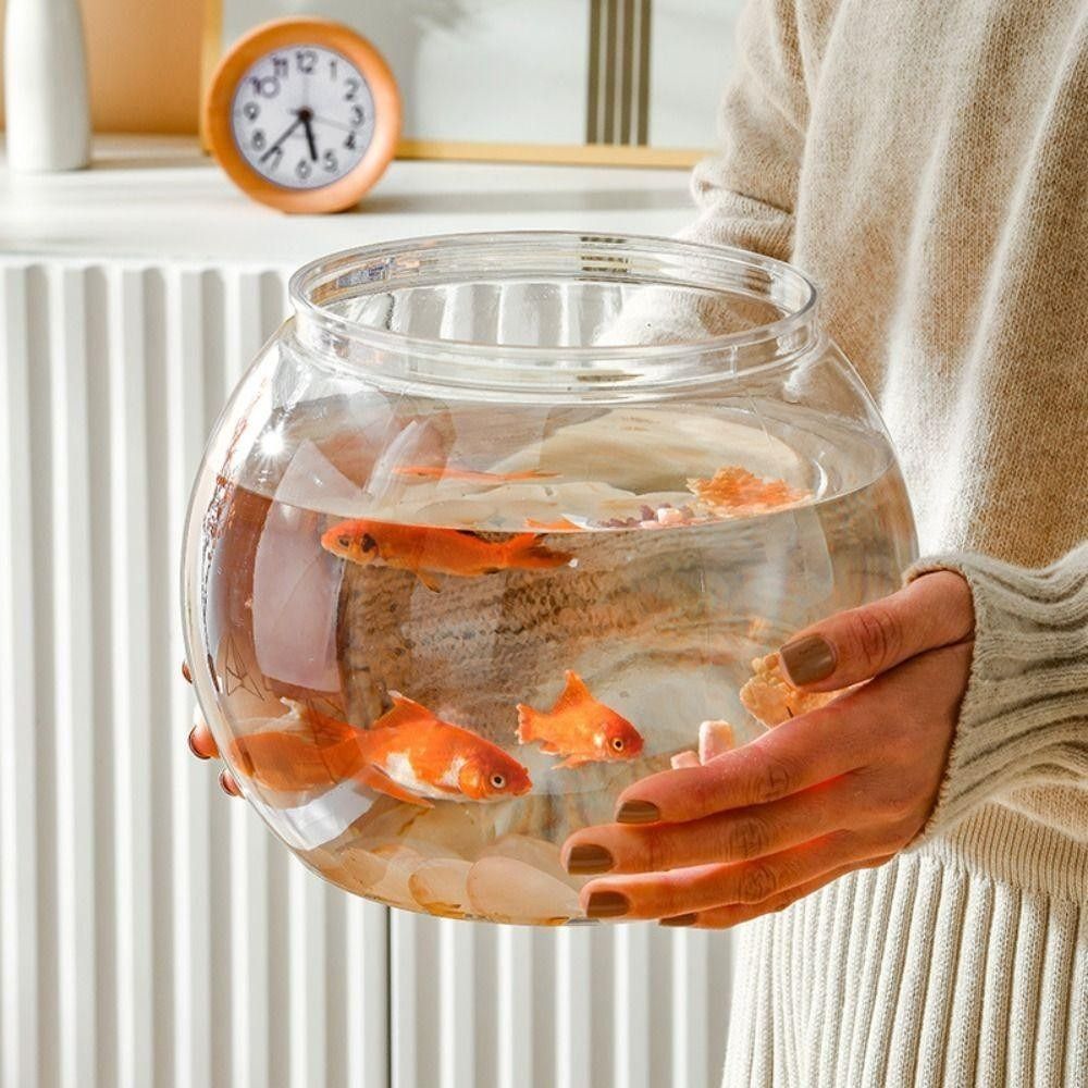 Aquarium Fish Names - Yeni Şeffaf Balık Tankı Yuvarlak Kırılmaz