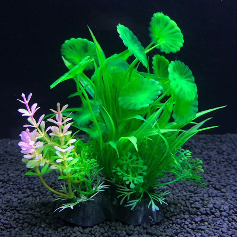 Akvaryum dekorasyonu çeşitli s - Aquarium Fish Variety incelemesi ve fiyatı