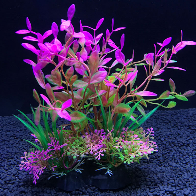 Akvaryum dekorasyonu çeşitli s - Aquarium Fish Variety incelemesi ve fiyatı
