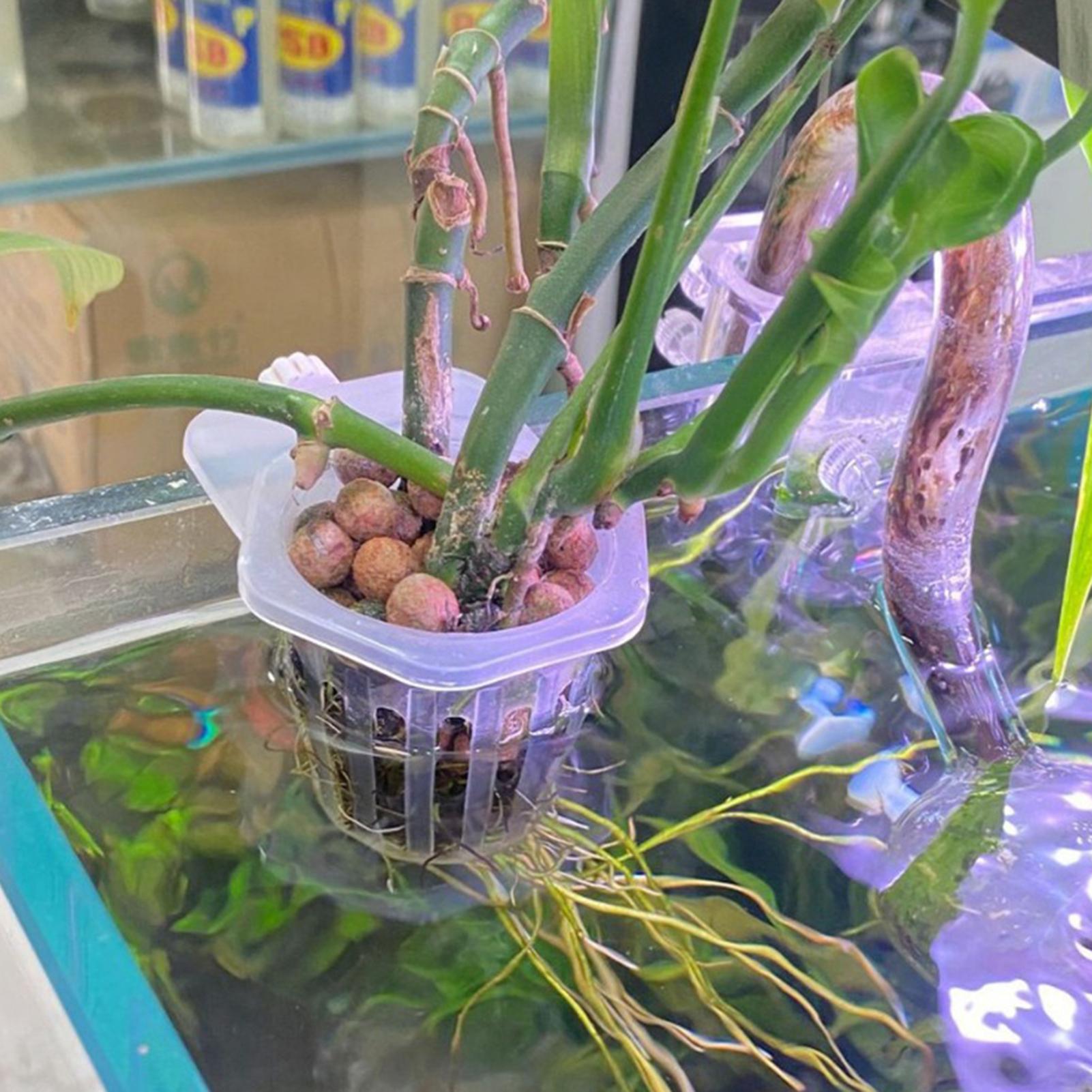 Hidroponik Bitki Asma Tutucu B - Aquarium Fish Elevator incelemesi ve fiyatı