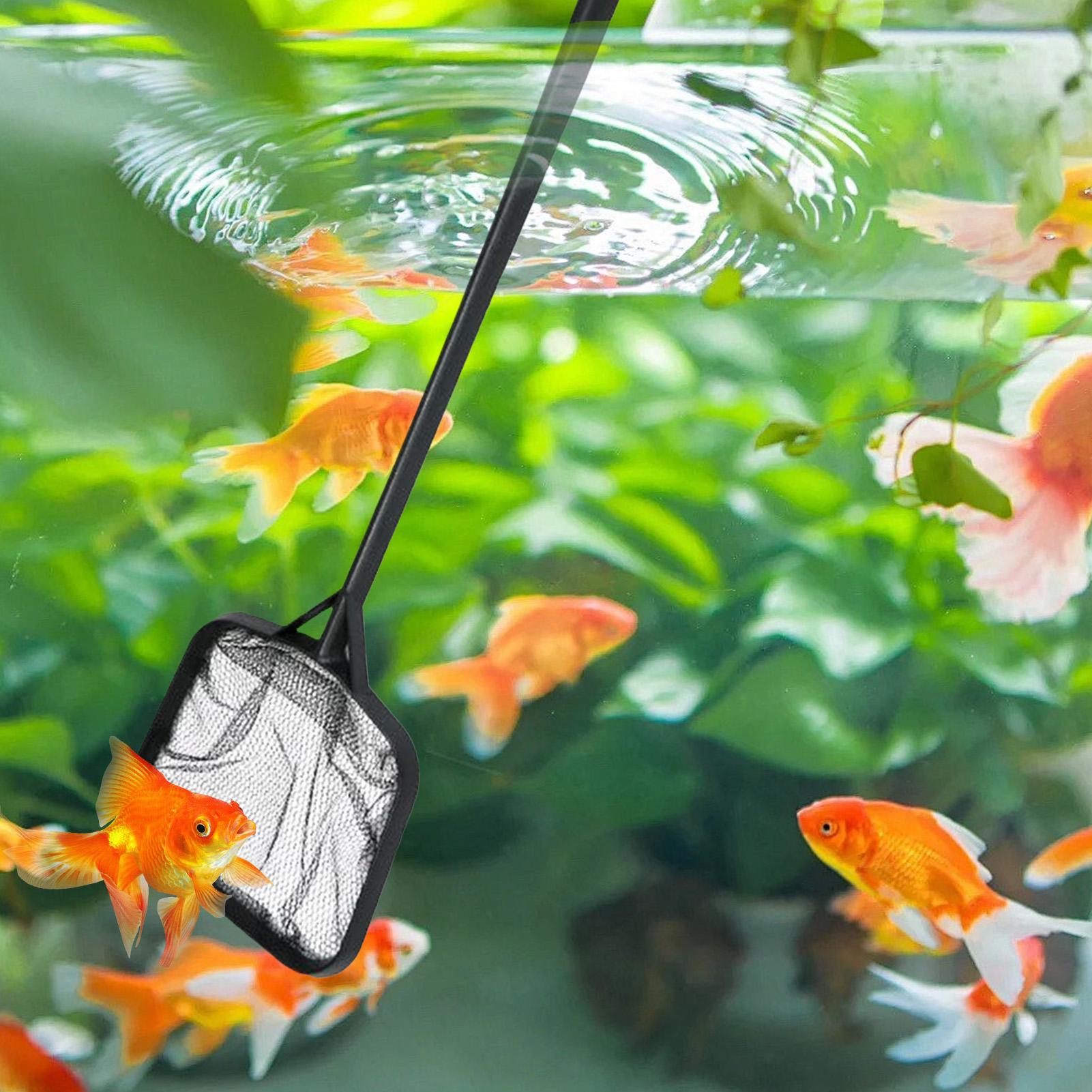 Havuz Temizleme Ağları Taşınab - Aquarium Fish Care incelemesi ve fiyatı