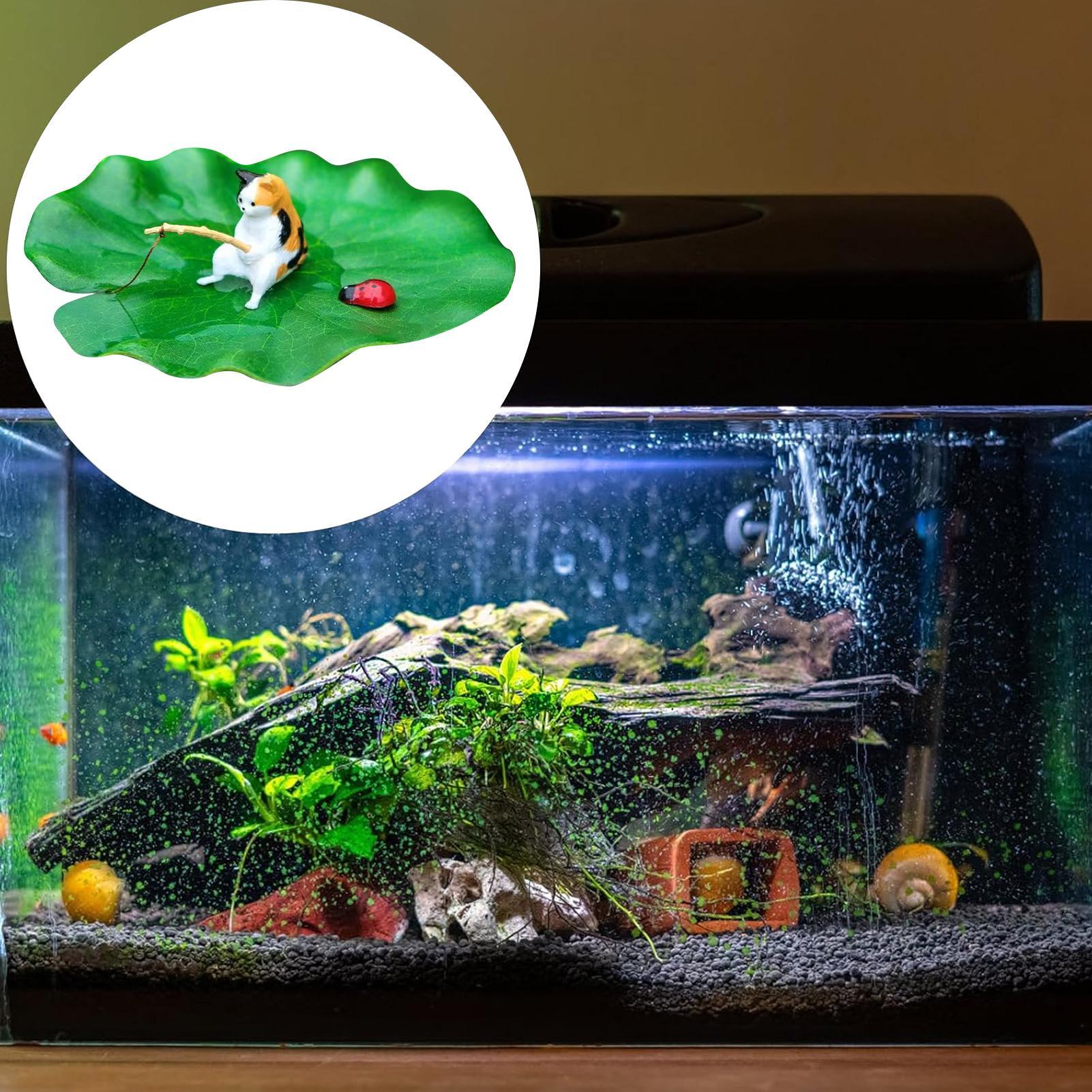 Yüzen Nilüfer Yaprağı Üzerinde - Aquarium Fish Names incelemesi ve fiyatı