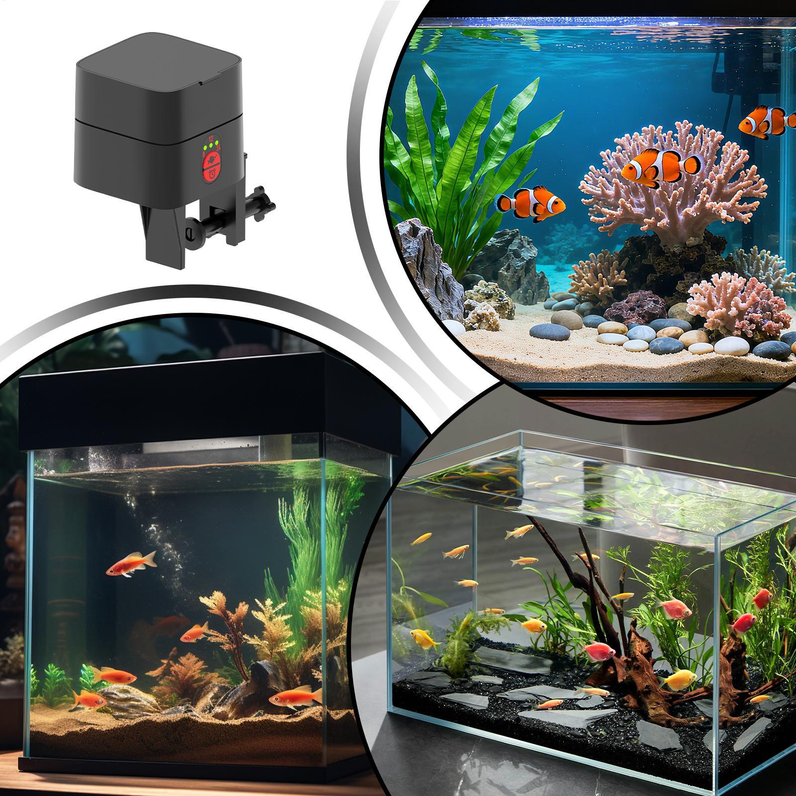 Otomatik Balık Besleyiciler Ot - Aquarium Fish Auto Feeder incelemesi ve fiyatı