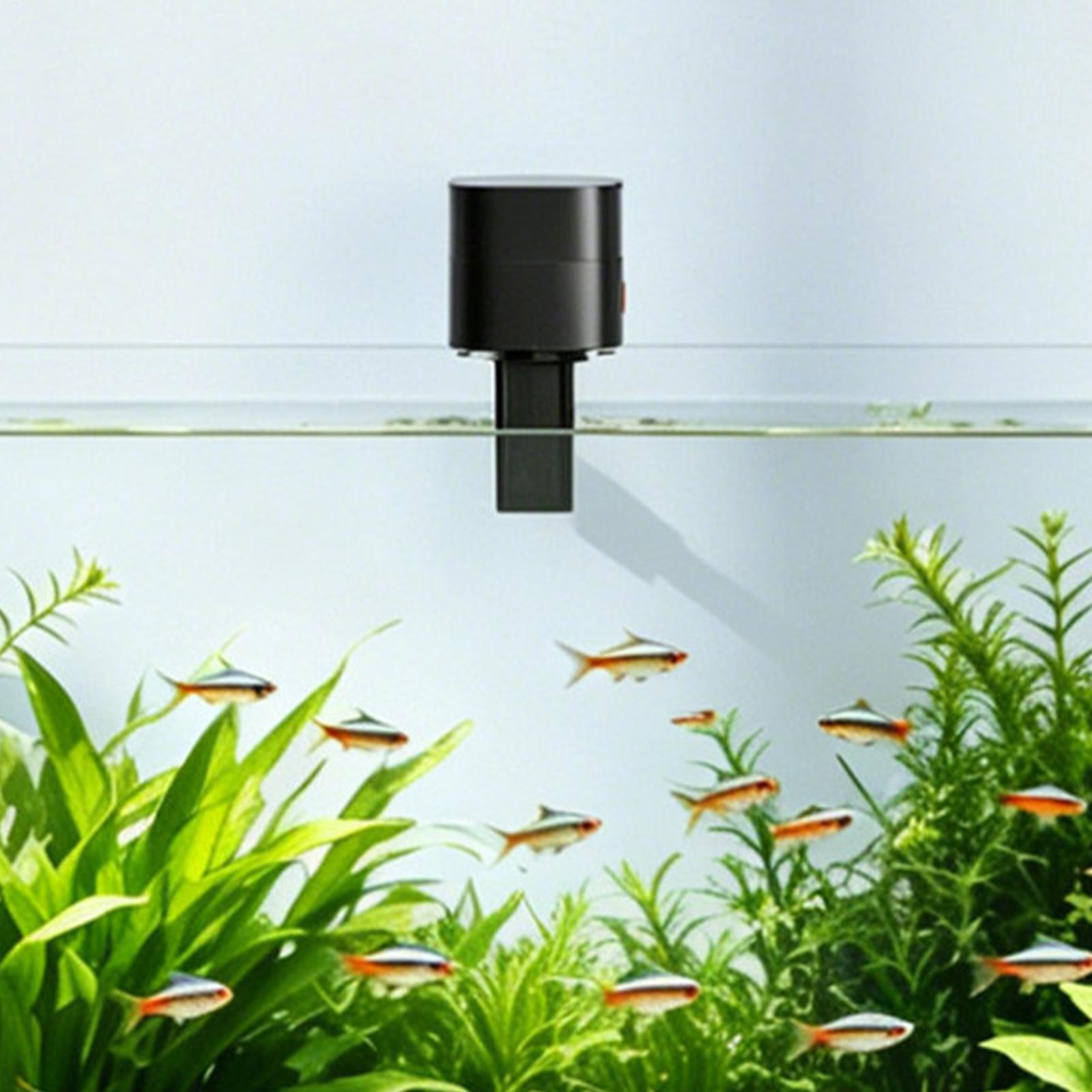 Otomatik Balık Besleyiciler Ot - Aquarium Fish Auto Feeder incelemesi ve fiyatı