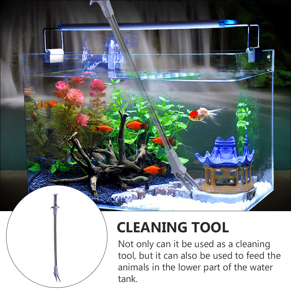 2 Adet Profesyonel Akvaryum Cı - Aquarium Fish Long incelemesi ve fiyatı
