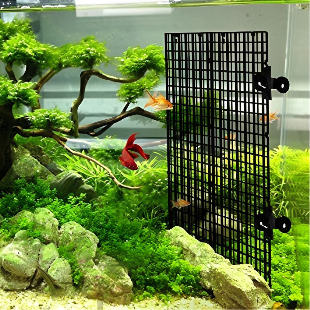 14 adet Siyah Plastik Akvaryum - Aquarium Fish Elevator incelemesi ve fiyatı