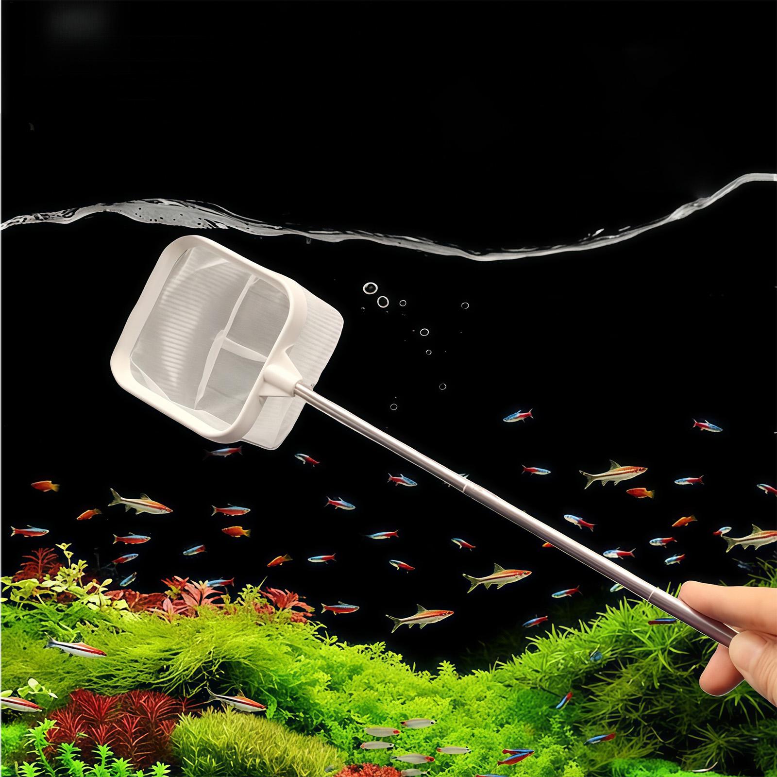 Uzatılabilir Uzun Saplı İnce Ö - Aquarium Fish Long incelemesi ve fiyatı