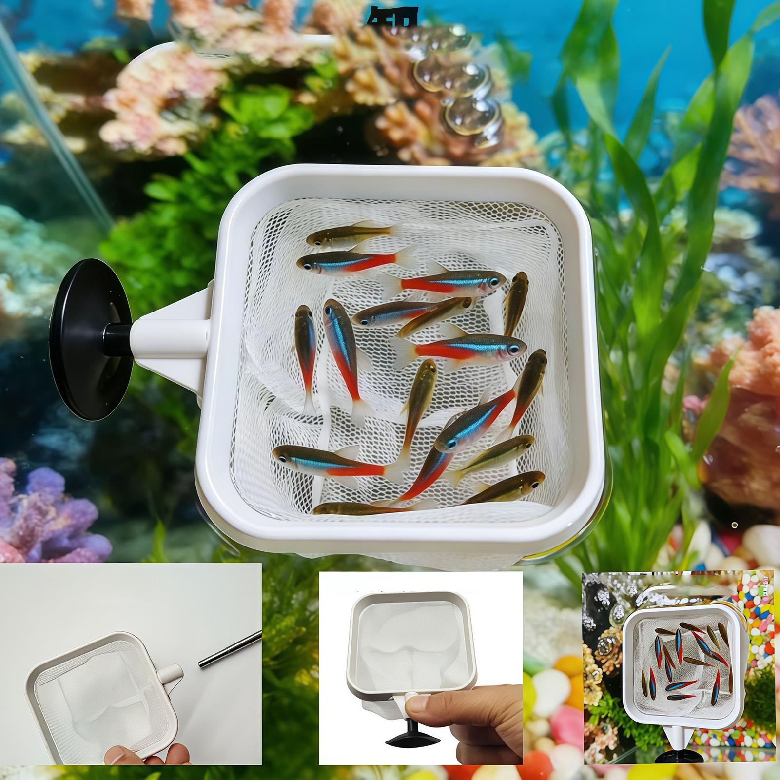 Uzatılabilir Uzun Saplı İnce Ö - Aquarium Fish Long incelemesi ve fiyatı