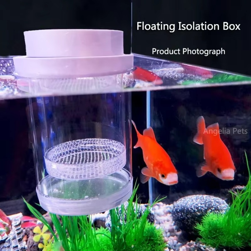 Plastik Yüzen Balık Yetiştiric - Aquarium Fish Auto Feeder incelemesi ve fiyatı