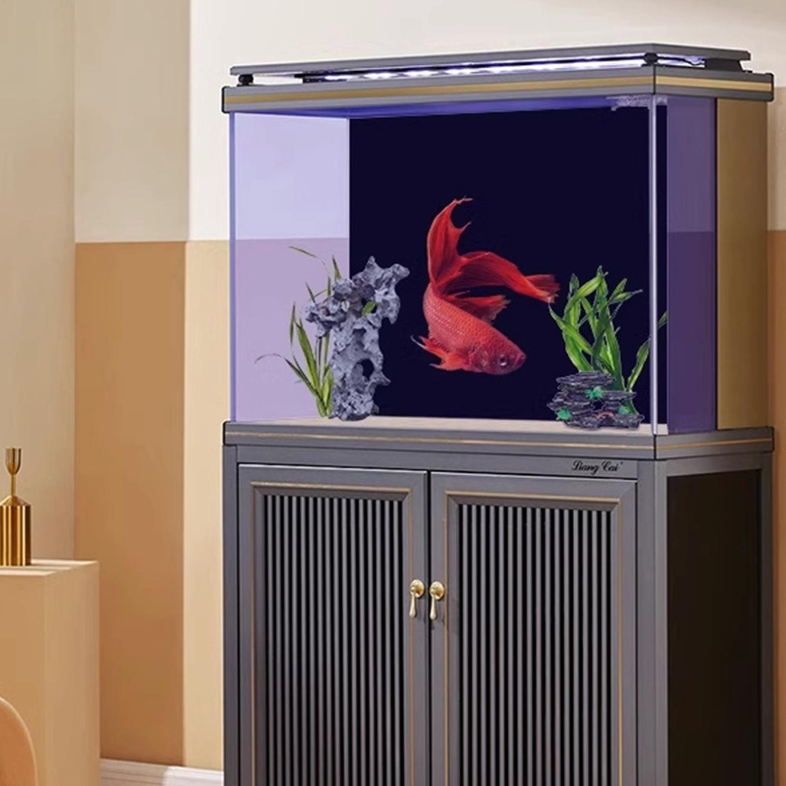 Balık Tankı Arka Planı Statik  - Aquarium Fish Elevator incelemesi ve fiyatı
