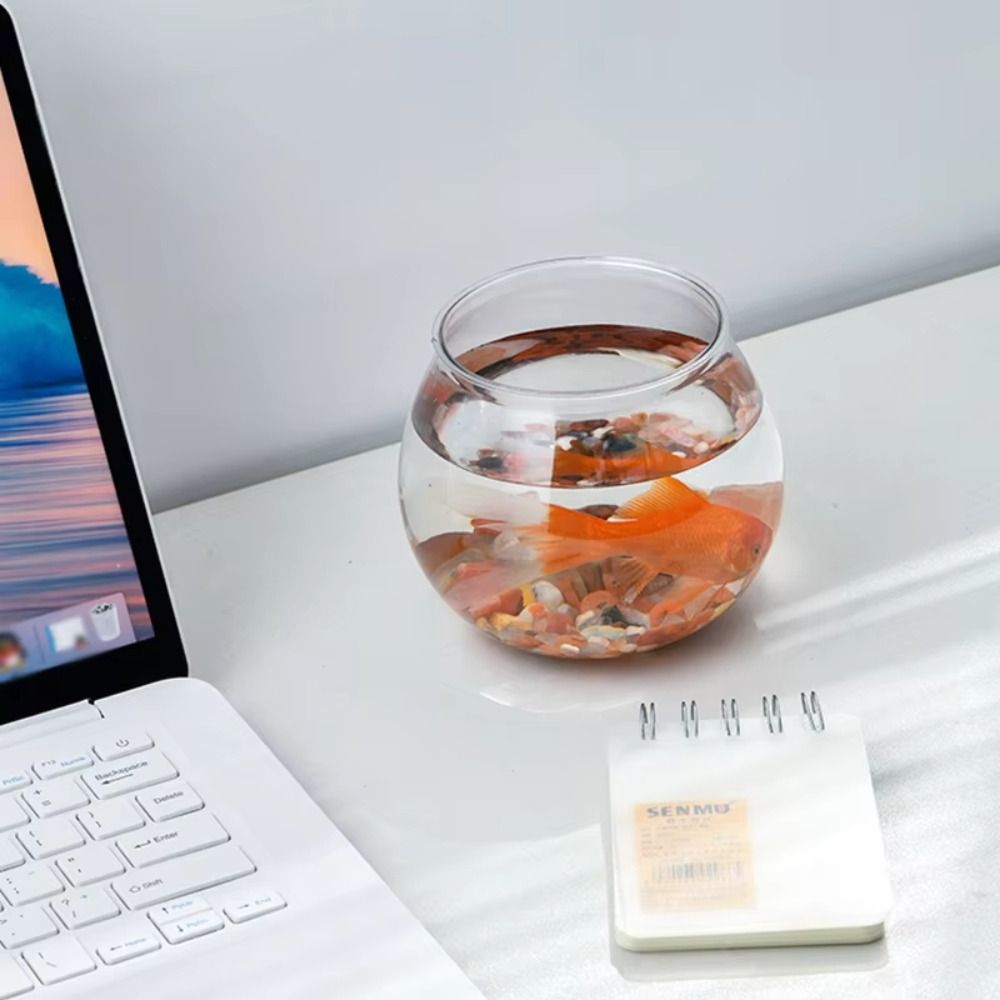 Yeni Şeffaf Balık Tankı Yuvarl - Aquarium Fish Names incelemesi ve fiyatı