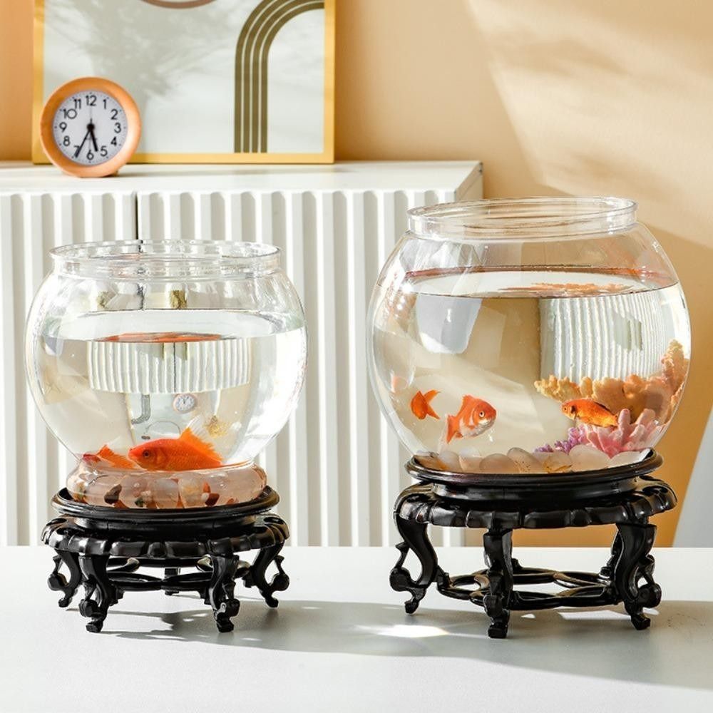 Yeni Şeffaf Balık Tankı Yuvarl - Aquarium Fish Names incelemesi ve fiyatı