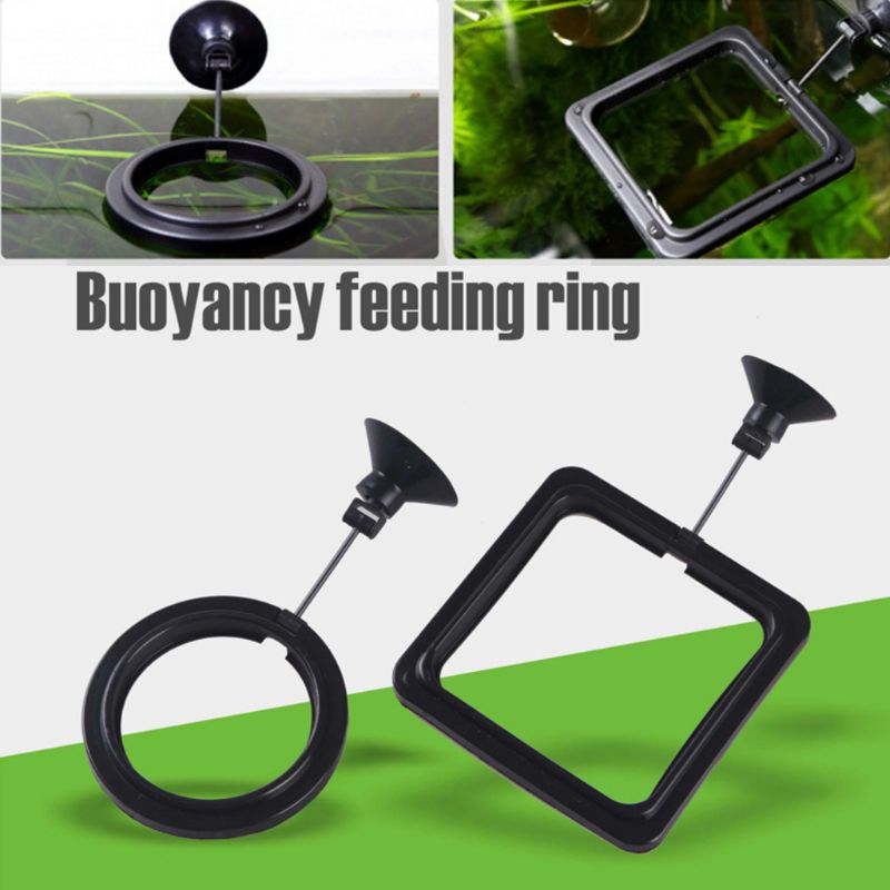 Akvaryum Balık Besleme Halkası - Aquarium Fish Auto Feeder incelemesi ve fiyatı